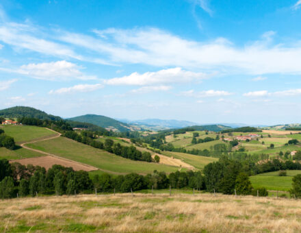 Mont du lyonnais