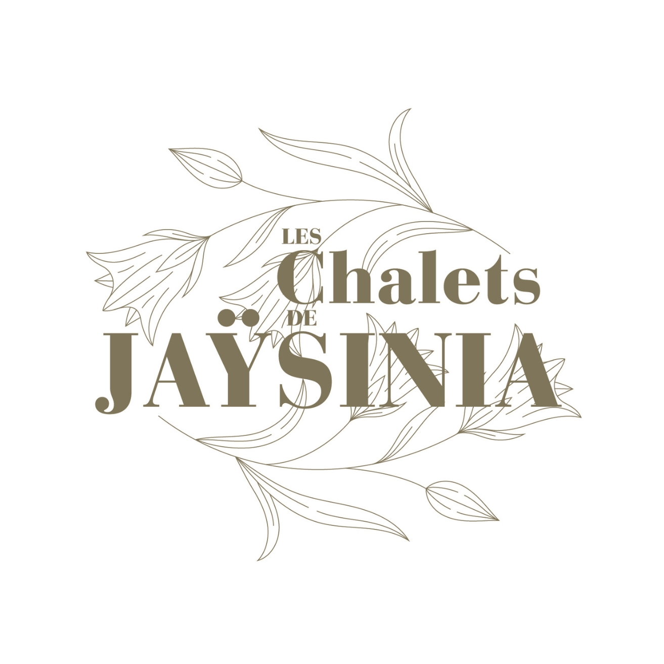 LOGO les chalets de jaysinia samoens diagonale